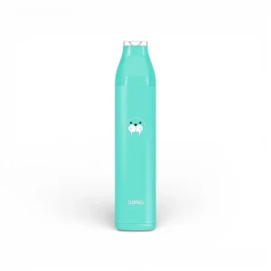 崧条 Song A06 8000口